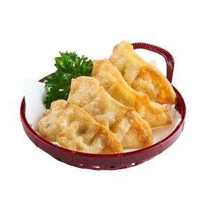 vegetable gyoza