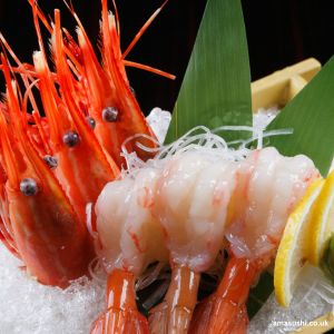 prawn sashimi